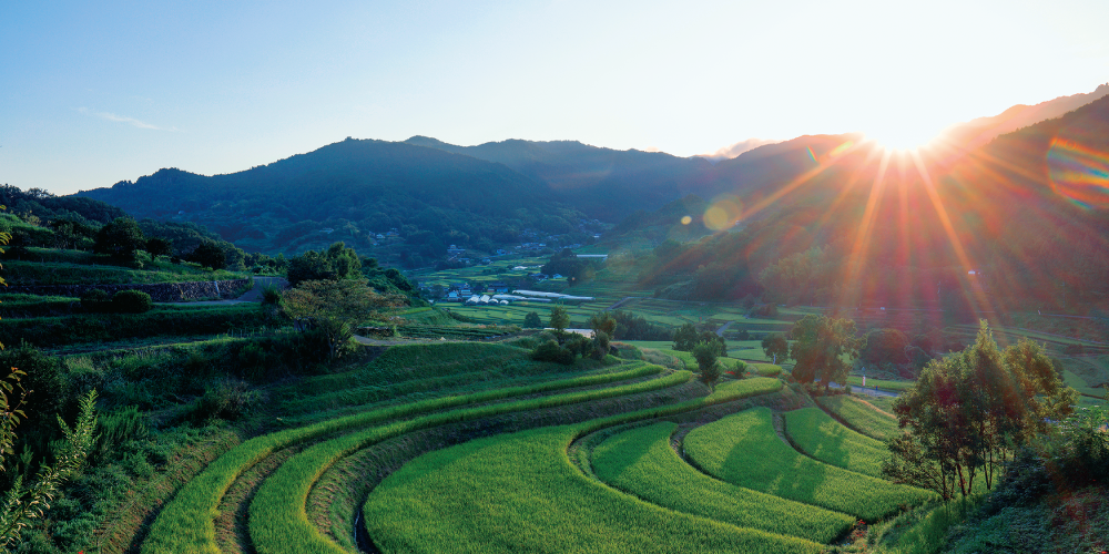 明日香村