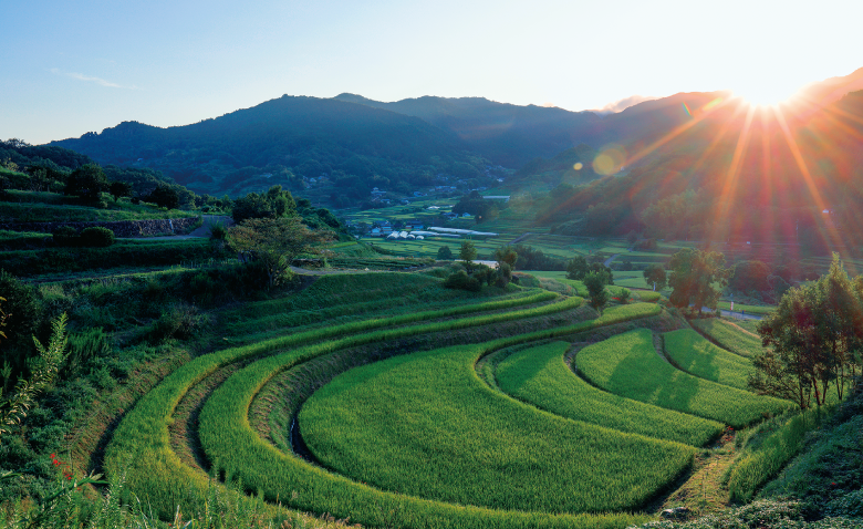 明日香村