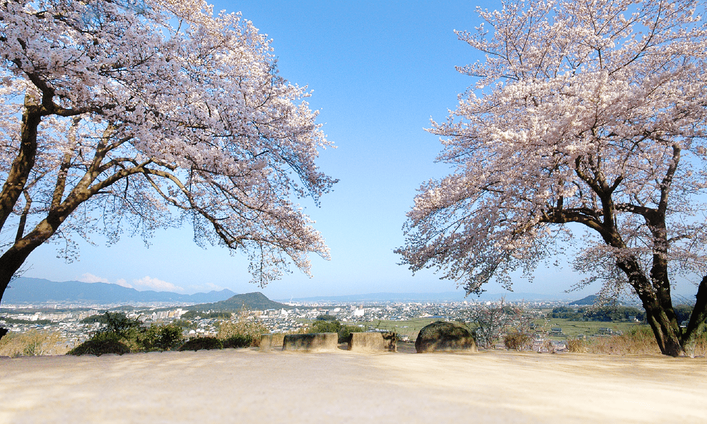 甘樫丘