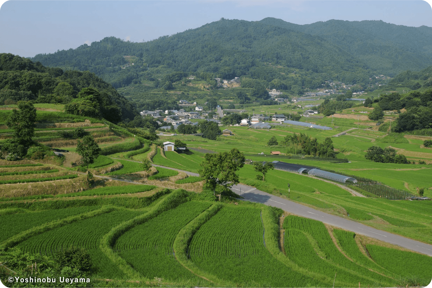 奥飛鳥の稲淵地区