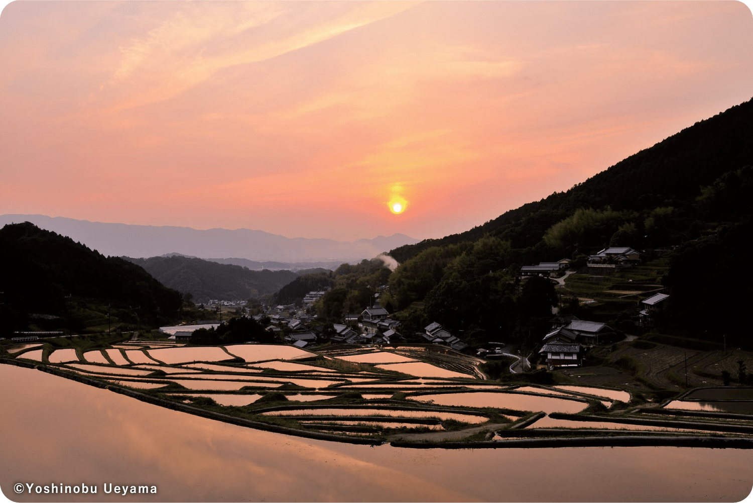 細川の棚田