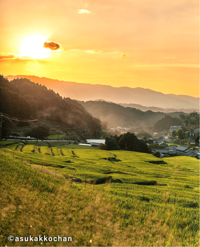 棚田風景