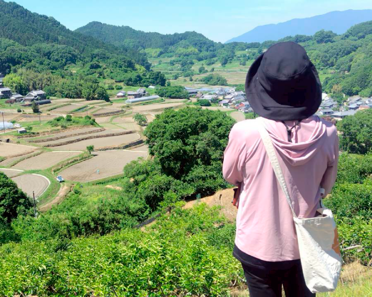 明日香村体験