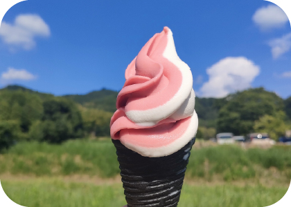 ソフトクリームミックス